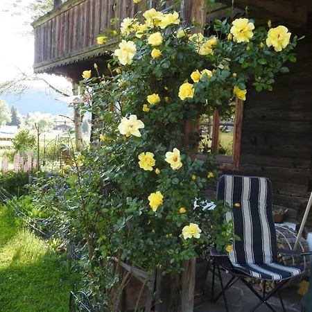 Bergblick
