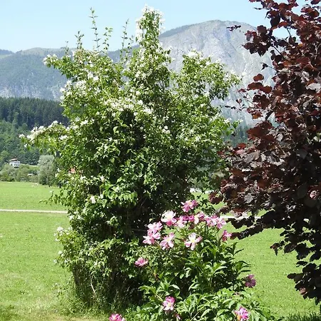 Bergblick