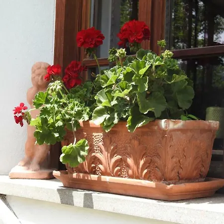 Appartement Bergblick *